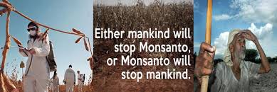 monsanto 2