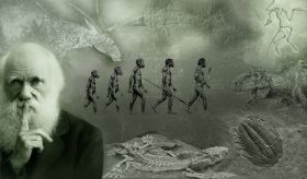 evolution