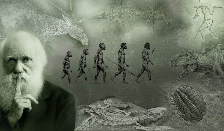 evolution