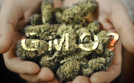 marijuana