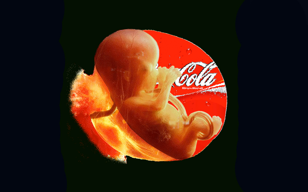 Authentic Producer 