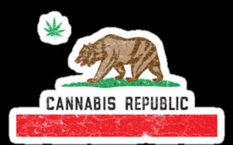 cannabis