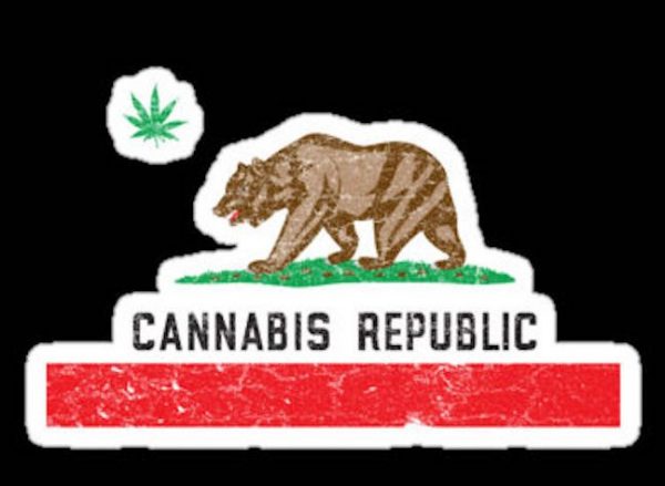 cannabis