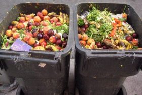 food waste