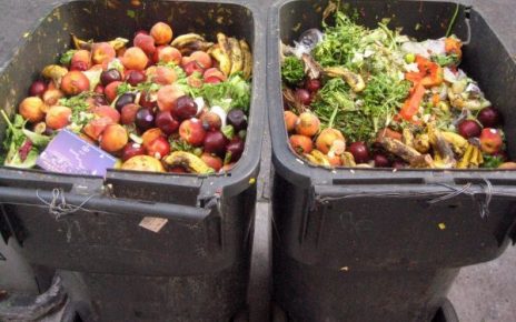 food waste