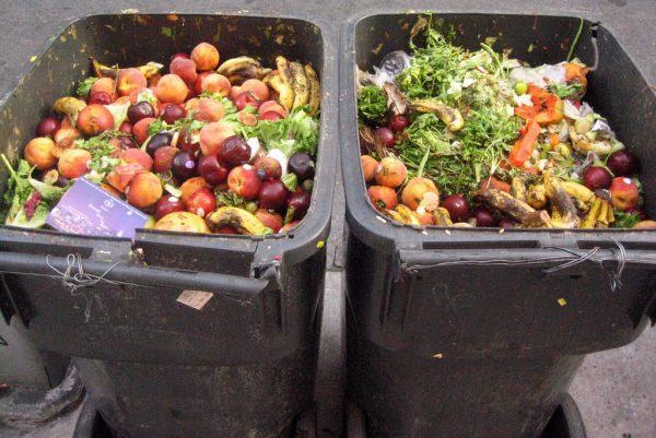 food waste