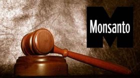 monsanto