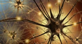 Neuroplasticity