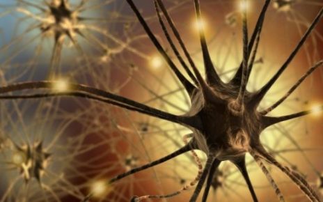 Neuroplasticity