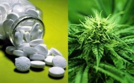 cannabis