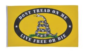FSP