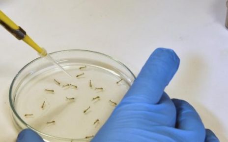 Zika