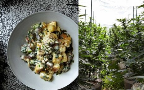 cannabis