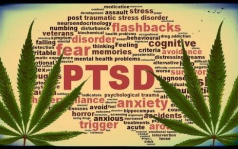 EndoCannabinoid