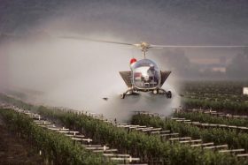 Glyphosate