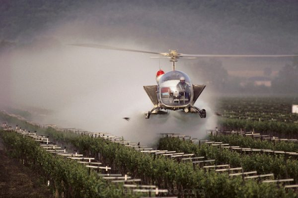 Glyphosate