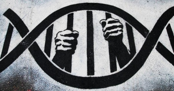 DNA