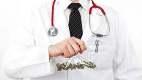 cannabis