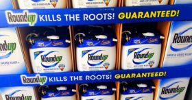 Glyphosate