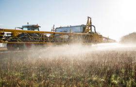 Glyphosate