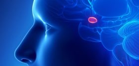 Pineal Gland