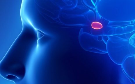 Pineal Gland