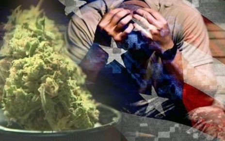 Veteran