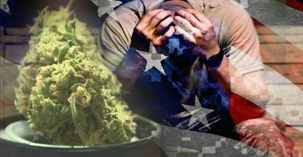 Veteran
