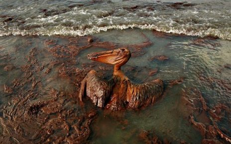 oil