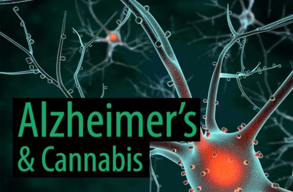 Alzheimer's
