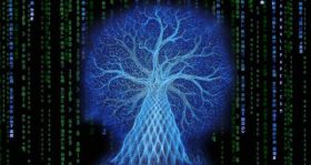 Matrix