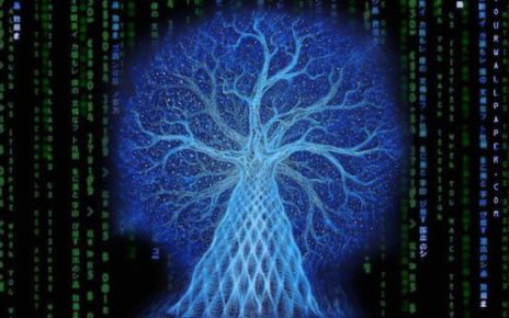 Matrix