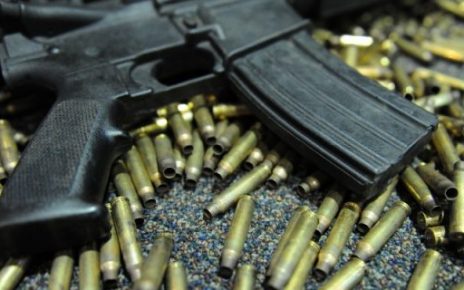 Gun