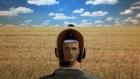 cognitive dissonance