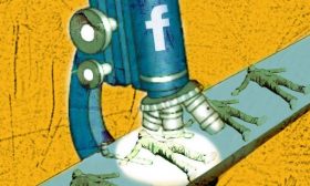 social media