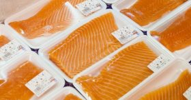 salmon