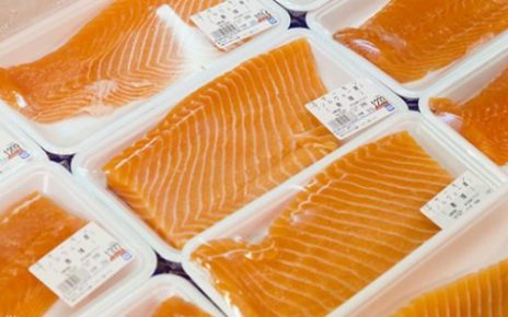salmon
