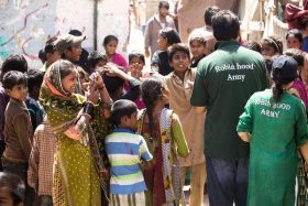 feed