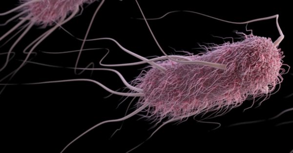 Antibiotics