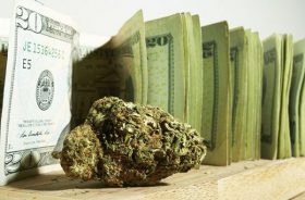 marijuana movement