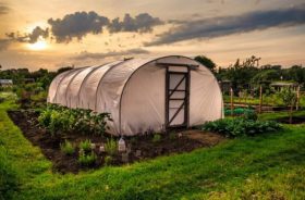 farms