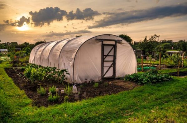 farms