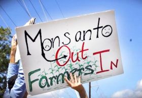 monsanto