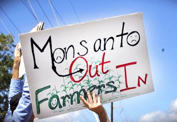 monsanto