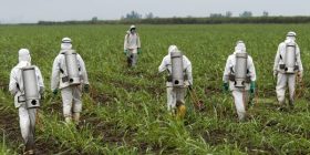 Glyphosate