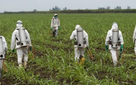 Glyphosate