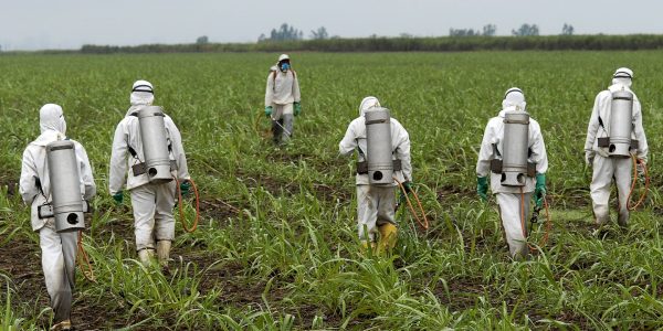 Glyphosate