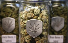 medical marijuana