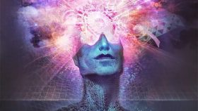 pineal gland