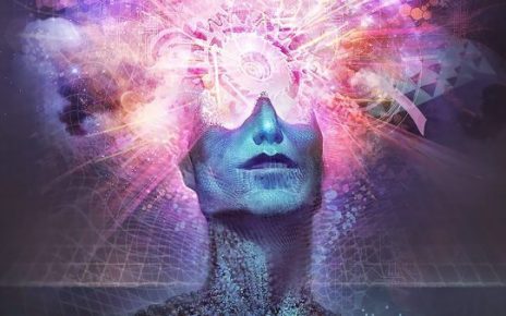 pineal gland